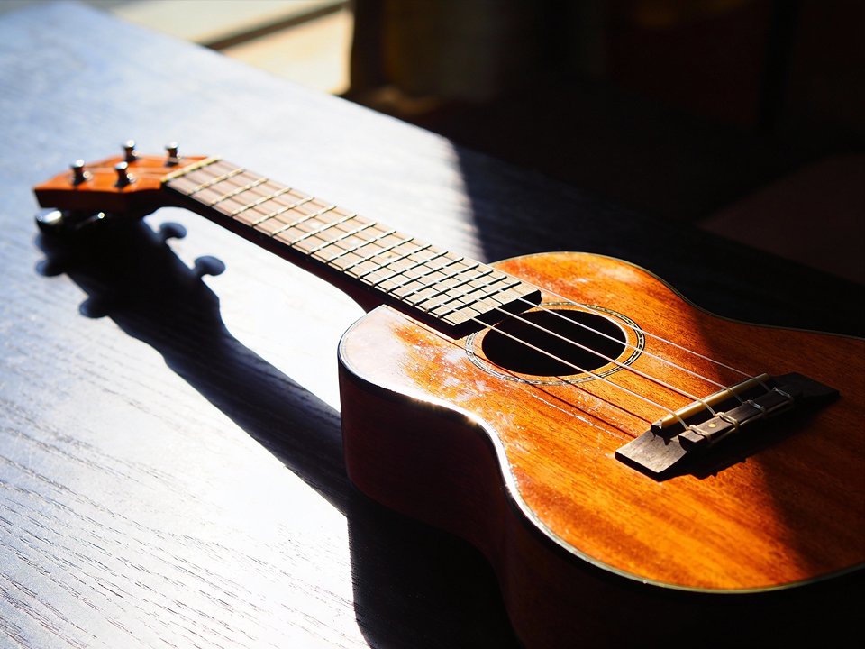 Cute ukelele track