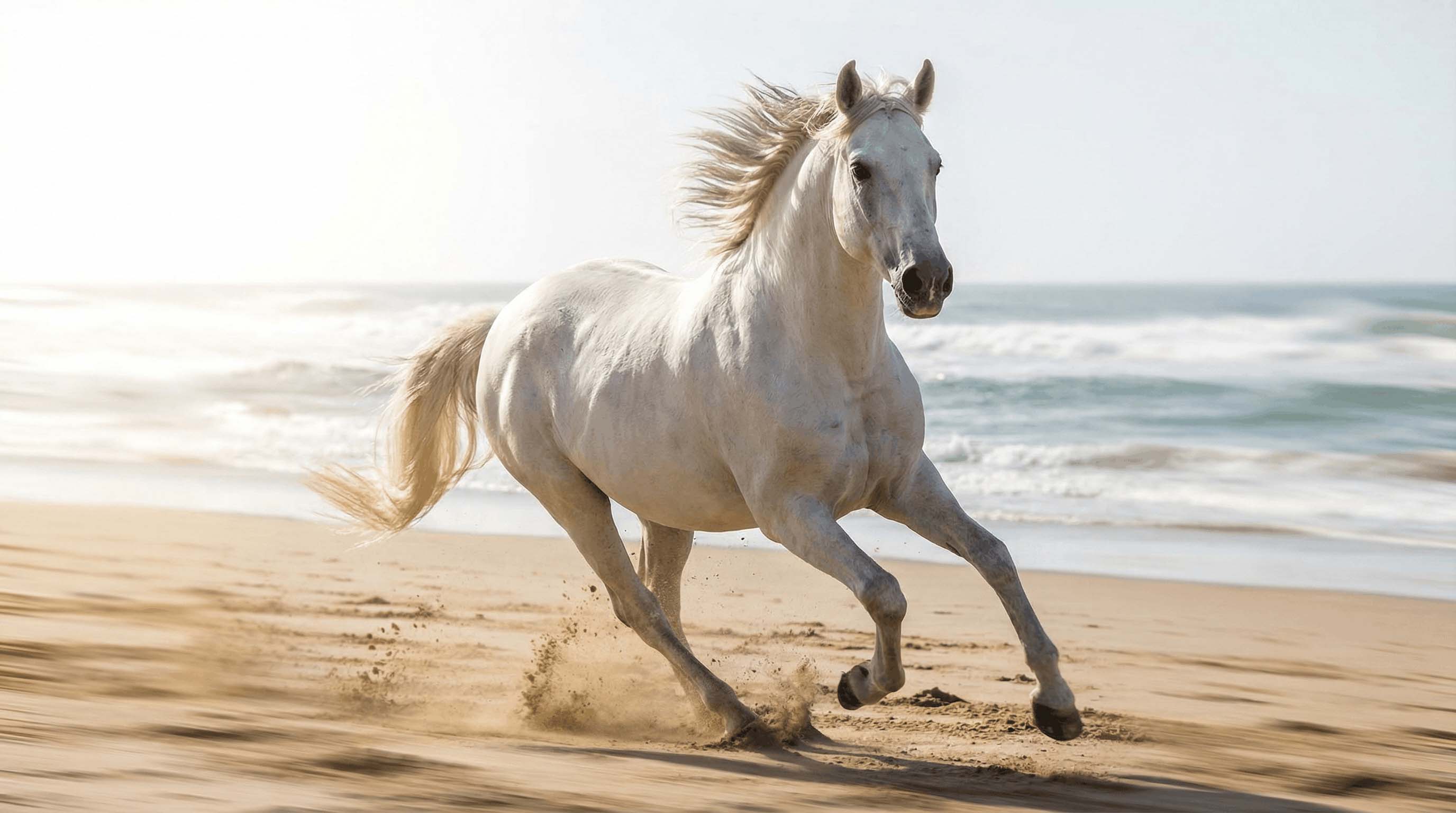 Videos with native audio