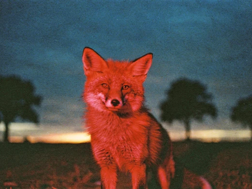 Professional production